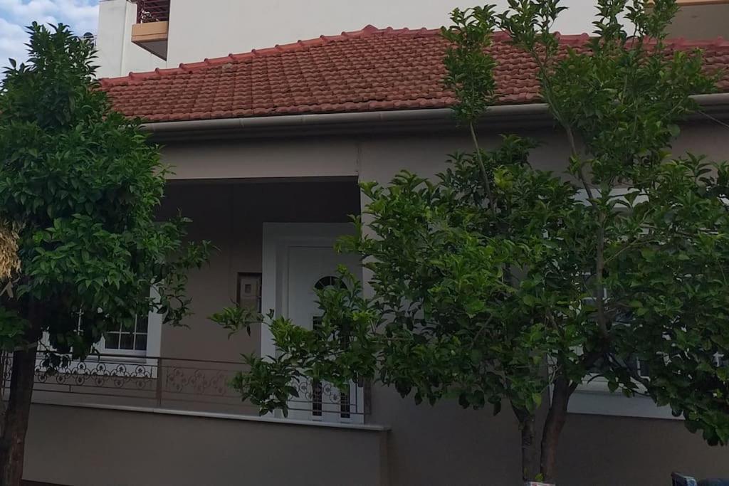 Aggeliki'S Place Detached Home With Yard/Parking Volos Ngoại thất bức ảnh